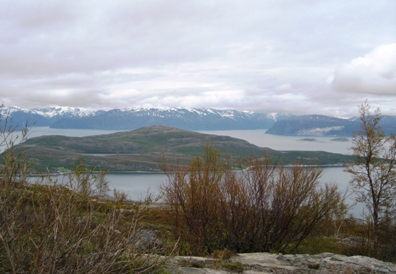 roadside near Alta